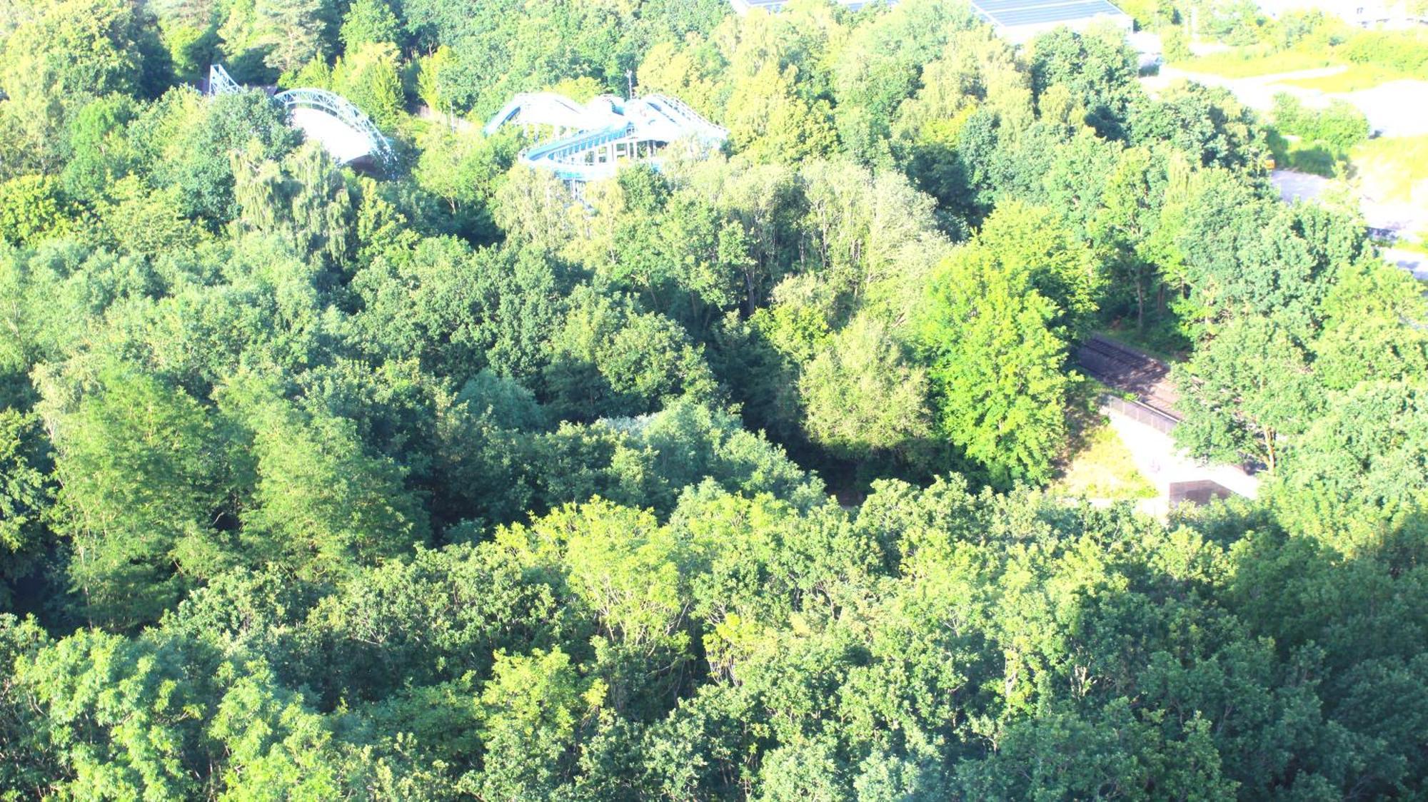 ZUM WOHLFÜHLEN-FERIENWOHNUNG FÜR MAX. 5 ERWACHSENE + 1 Kind, Schwimmbad vor der Tür/Tiere erlaubtKIND Sierksdorf Exterior foto